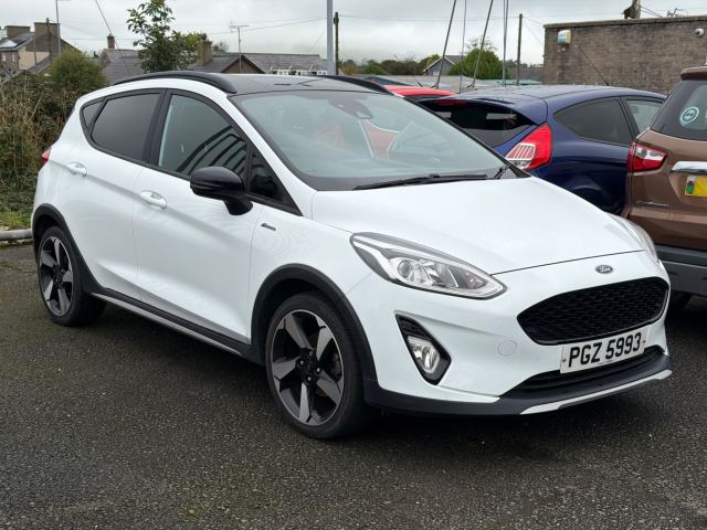 2019 (69) Ford Fiesta 1.0T EcoBoost GPF Active B&O Play Hatchback 5dr Petrol Manual Euro 6 (s/s) (100 ps) (M13169)